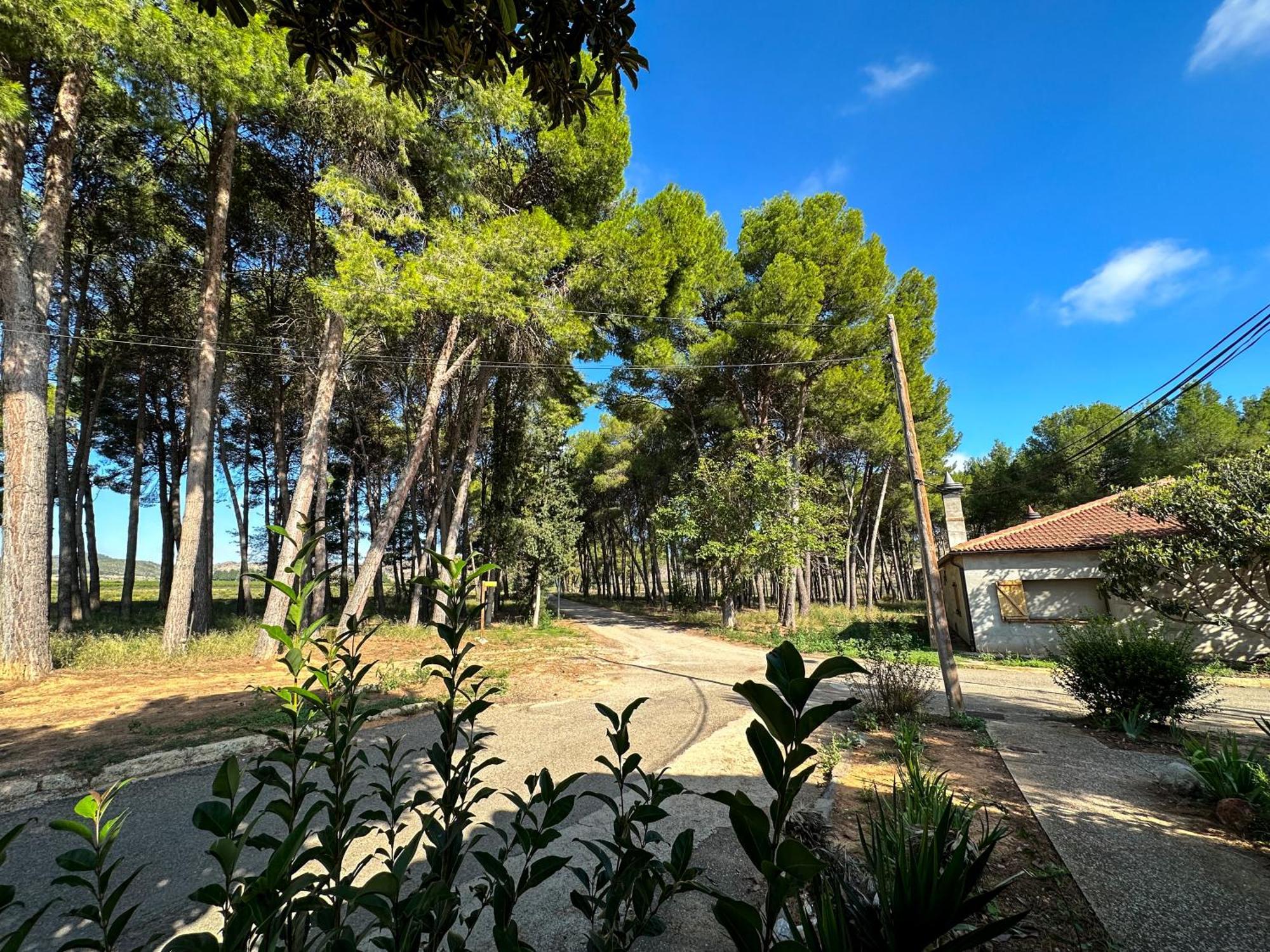 Casa Rural Los Pinos Valmuel Zewnętrze zdjęcie