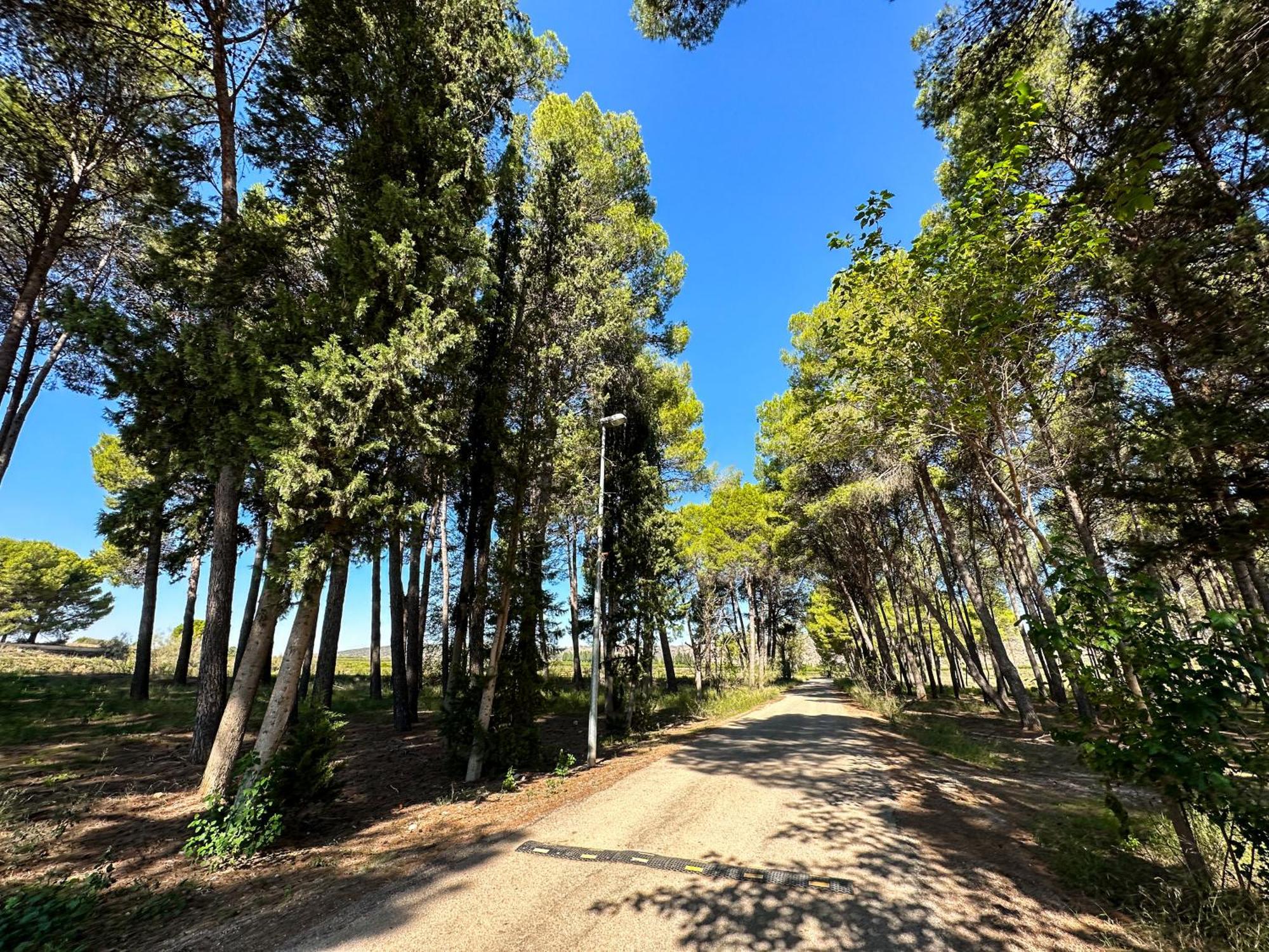Casa Rural Los Pinos Valmuel Zewnętrze zdjęcie